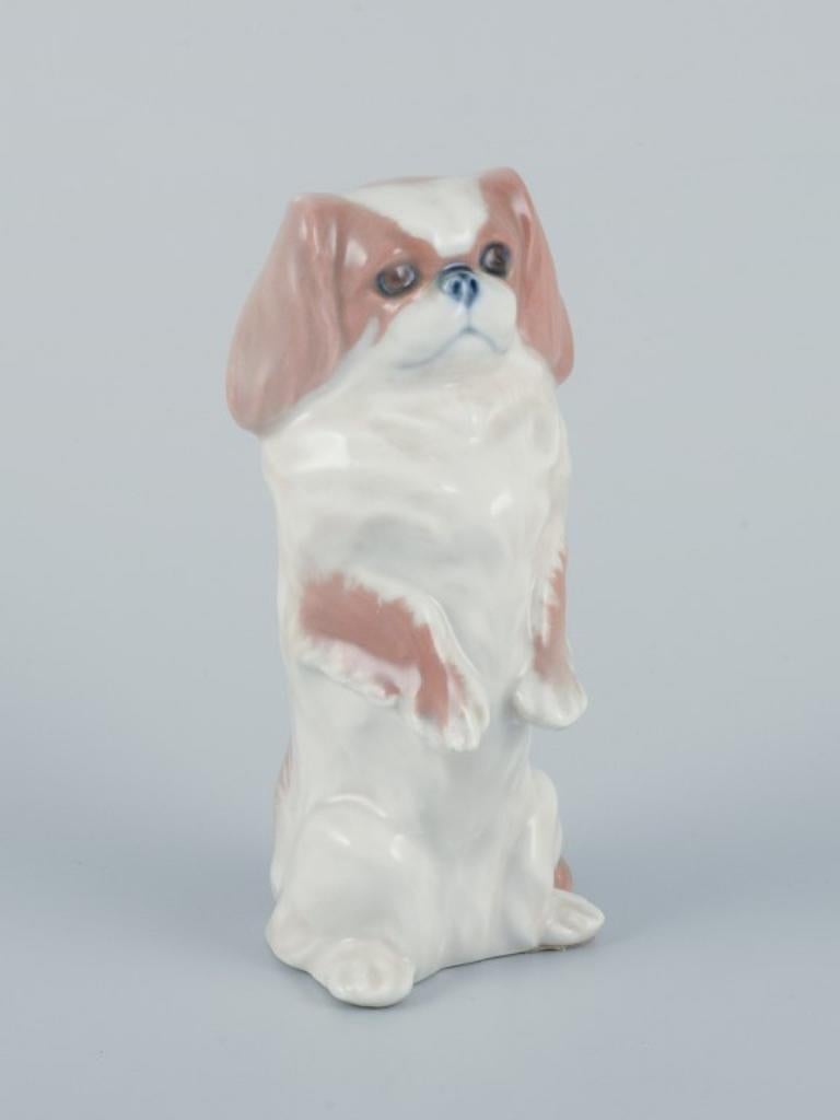 Danish Royal Copenhagen, porcelain figurine of standing Pekingese dog.  For Sale