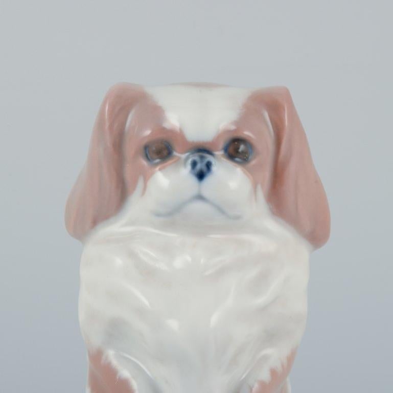 Royal Copenhagen, Porzellanfigur eines stehenden Pekinger Hundes.  (Ende des 20. Jahrhunderts) im Angebot