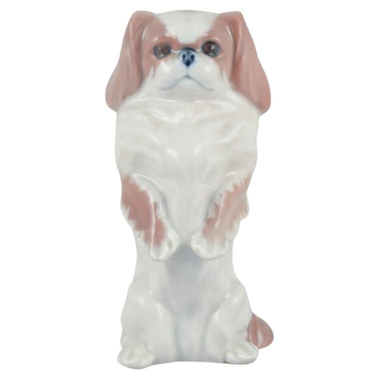 Royal Copenhagen, Porzellanfigur eines stehenden Pekinger Hundes.  im Angebot