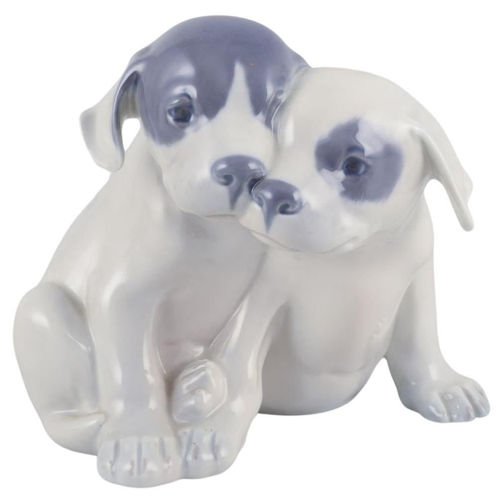 Royal Copenhagen, porcelain figurine of two Pointer puppies.