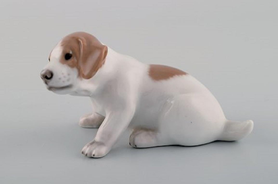 Royal Copenhagen porcelain figurine. Pointer puppy, 1920s. Model number 1453/1311.
Measures: 10 x 5.5 cm.
In excellent condition.
Stamped.
1st factory quality.