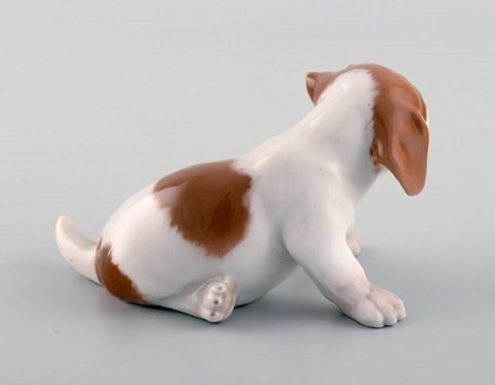Danish Royal Copenhagen Porcelain Figurine, Pointer Puppy, 1920s For Sale