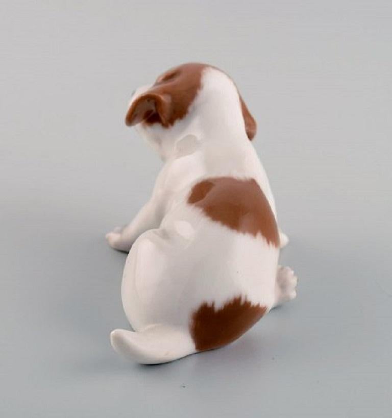 Glazed Royal Copenhagen Porcelain Figurine, Pointer Puppy, 1920s For Sale