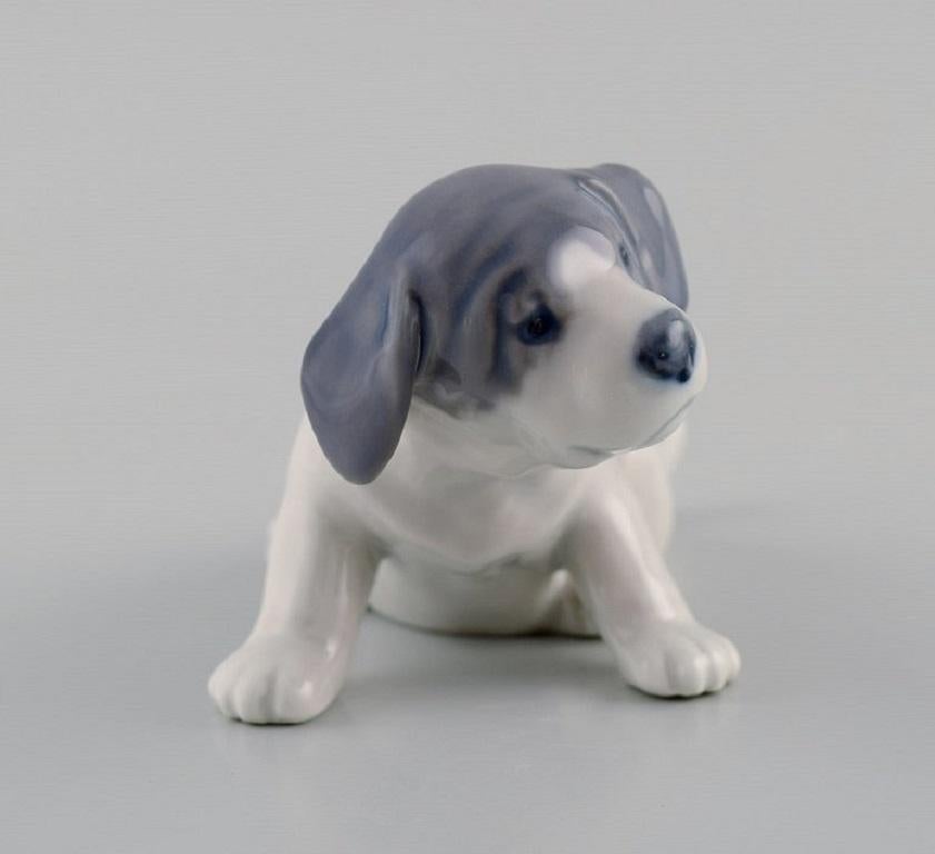 Danish Royal Copenhagen Porcelain Figurine, Pointer Puppy, Early 20th Century