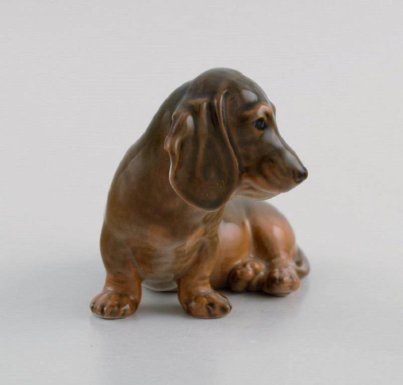 Royal Copenhagen porcelain figurine. Seated dachshund. Model number 3140. 
Dated 1964.
Measures: 10.5 x 7.5 cm.
In excellent condition.
Stamped.
1st factory quality.
