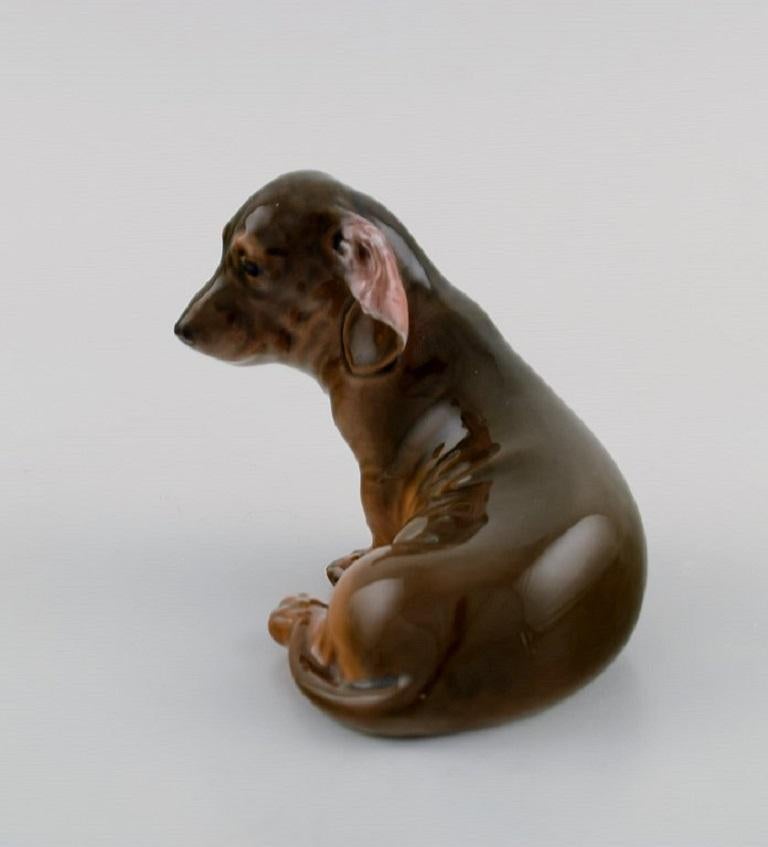 Danish Royal Copenhagen Porcelain Figurine, Seated Dachshund, Model Number 3140