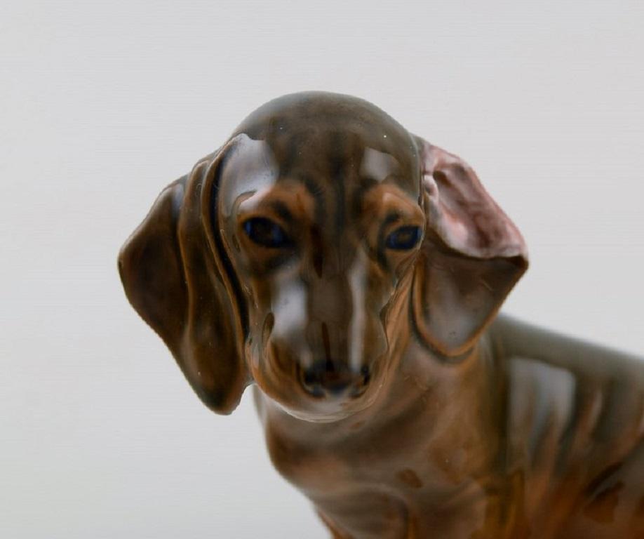 Hand-Painted Royal Copenhagen Porcelain Figurine, Seated Dachshund, Model Number 3140