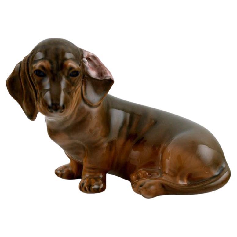 Royal Copenhagen Porcelain Figurine, Seated Dachshund, Model Number 3140