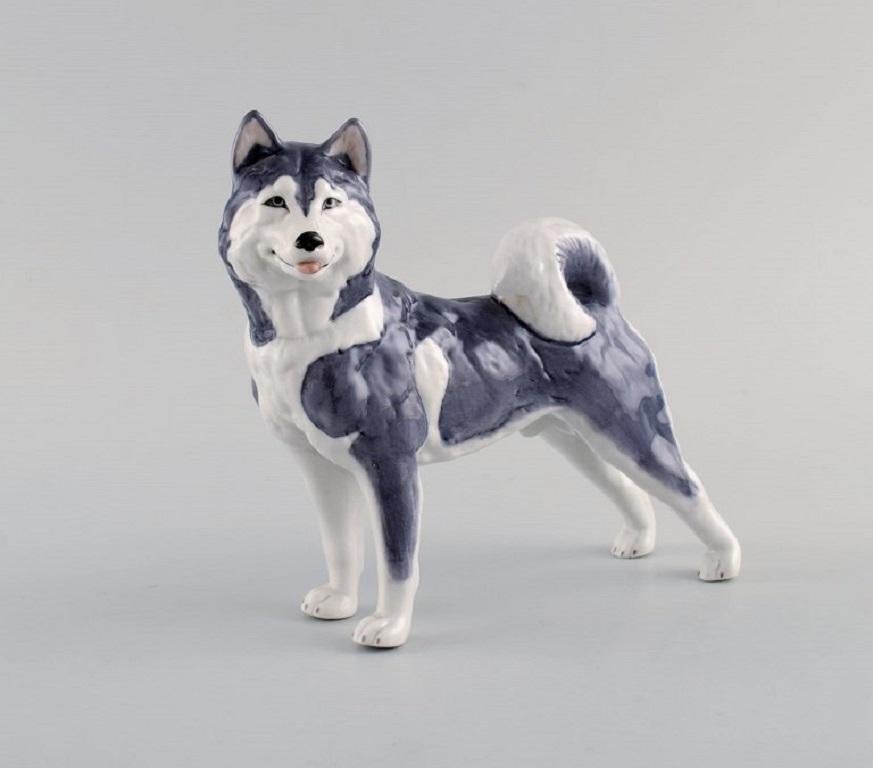 Royal Copenhagen Porzellan-Figur. Siberian Husky. Modellnummer 038.
Maße: 14 x 14 cm.
In ausgezeichnetem Zustand.
Gestempelt.
2. Fabrikqualität.