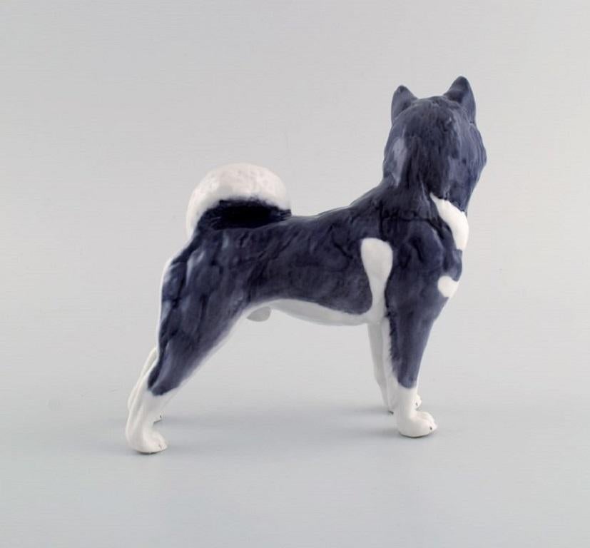 Danish Royal Copenhagen Porcelain Figurine, Siberian Husky, Model Number 038 For Sale