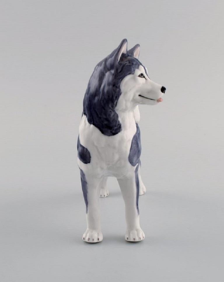 Royal Copenhagen Porcelain Figurine, Siberian Husky, Model Number 038 For Sale 1