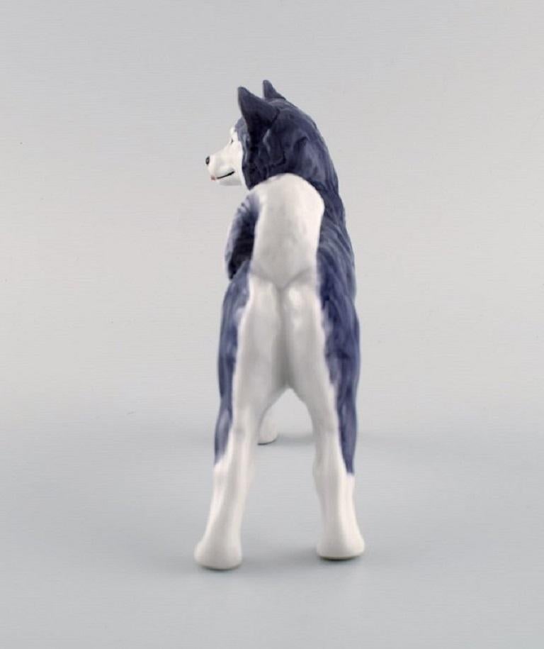 Royal Copenhagen Porcelain Figurine, Siberian Husky, Model Number 038 For Sale 2