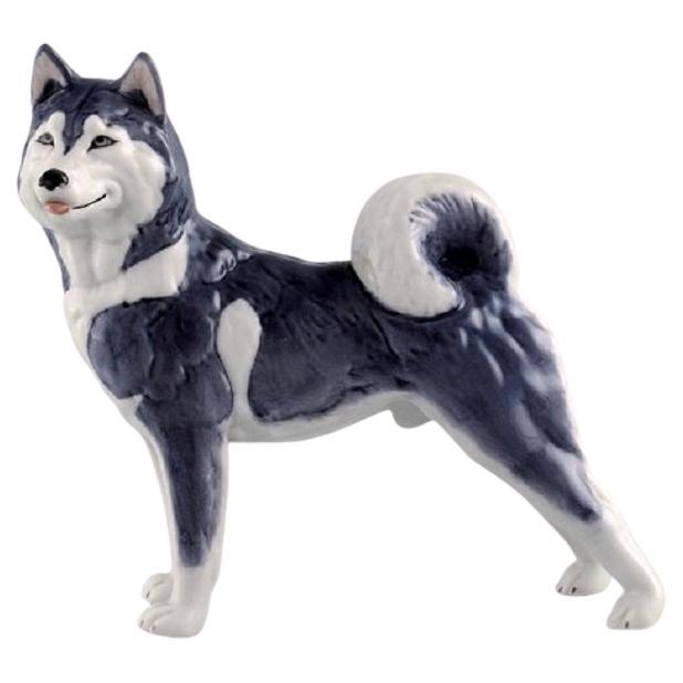 Royal Copenhagen Porcelain Figurine, Siberian Husky, Model Number 038 For Sale