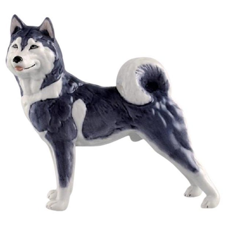 Royal Copenhagen Porcelain Figurine, Siberian Husky, Model Number 038 For  Sale at 1stDibs