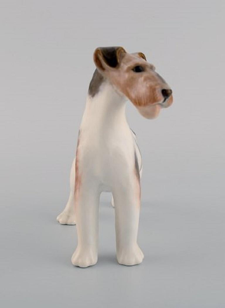 Royal Copenhagen porcelain figurine. Wire hair fox terrier. Model number 1452/2967, 1920s.
Measures: 18 x 16 cm.
In excellent condition.
Stamped.
1st factory quality.