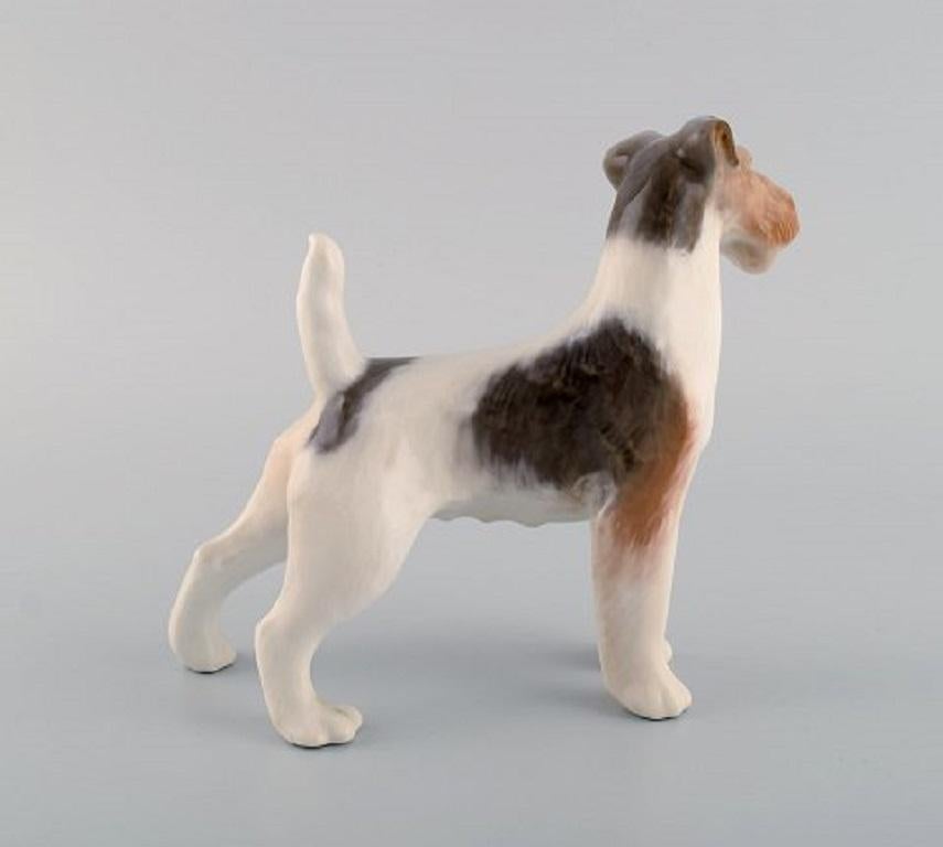 Danish Royal Copenhagen Porcelain Figurine, Wire Hair Fox Terrier, 1920s