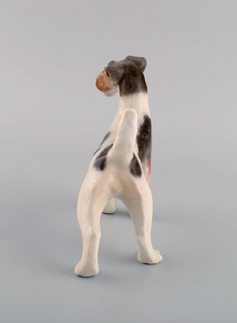 Glazed Royal Copenhagen Porcelain Figurine, Wire Hair Fox Terrier, 1920s