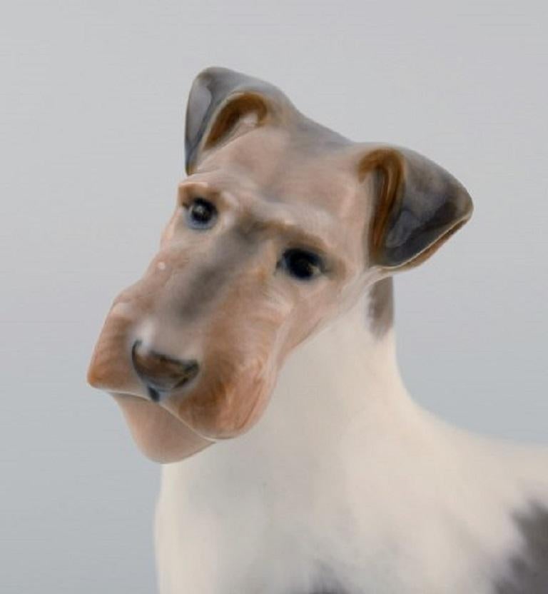 Early 20th Century Royal Copenhagen Porcelain Figurine, Wire Hair Fox Terrier, 1920s