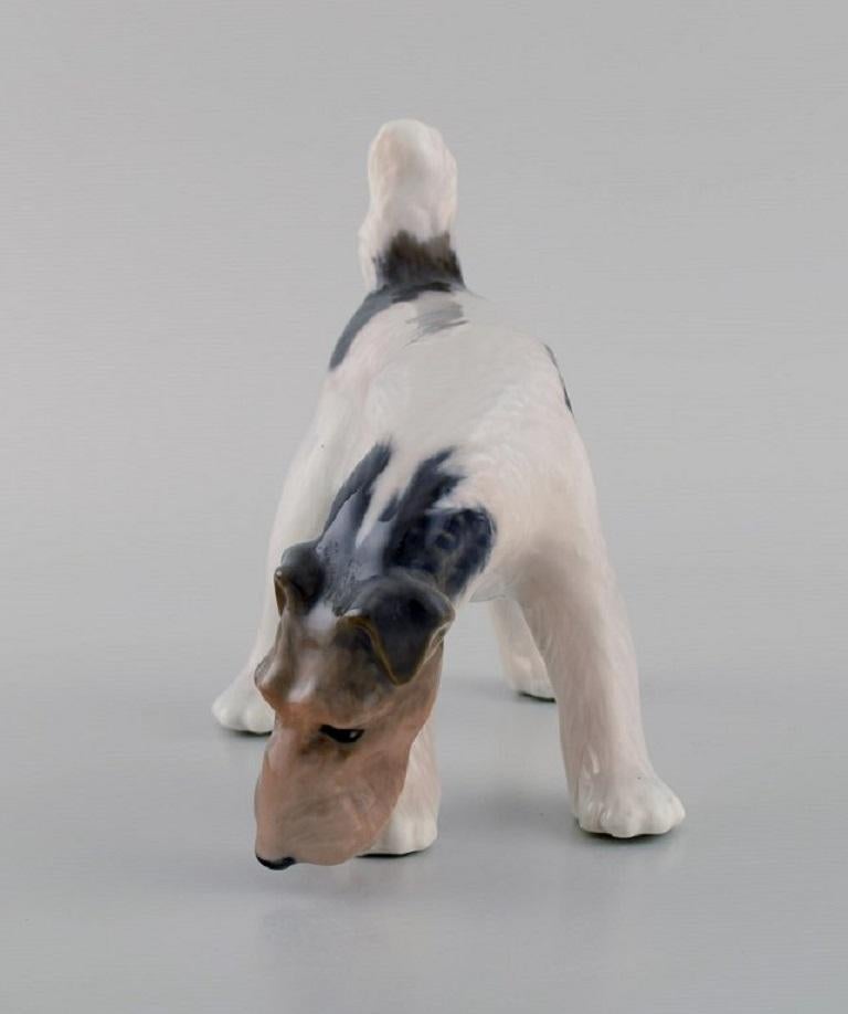 Royal Copenhagen porcelain figurine. Wire Hair Fox Terrier. Model number 3020. 
Dated 1889 - 1922.
Measures: 16.5 x 14 cm.
In excellent condition.
Stamped.
1st factory quality.