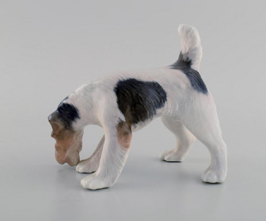 Danish Royal Copenhagen Porcelain Figurine, Wire Hair Fox Terrier, Dated 1889 - 1922