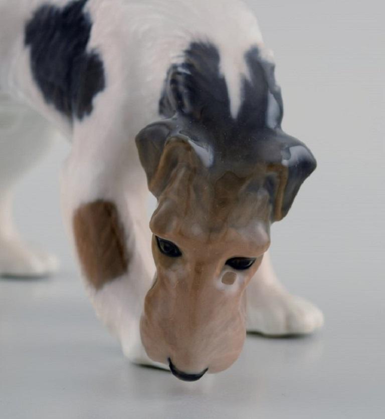 20th Century Royal Copenhagen Porcelain Figurine, Wire Hair Fox Terrier, Dated 1889 - 1922