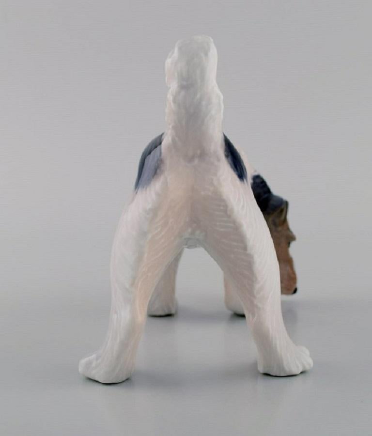 Royal Copenhagen Porcelain Figurine, Wire Hair Fox Terrier, Dated 1889 - 1922 2