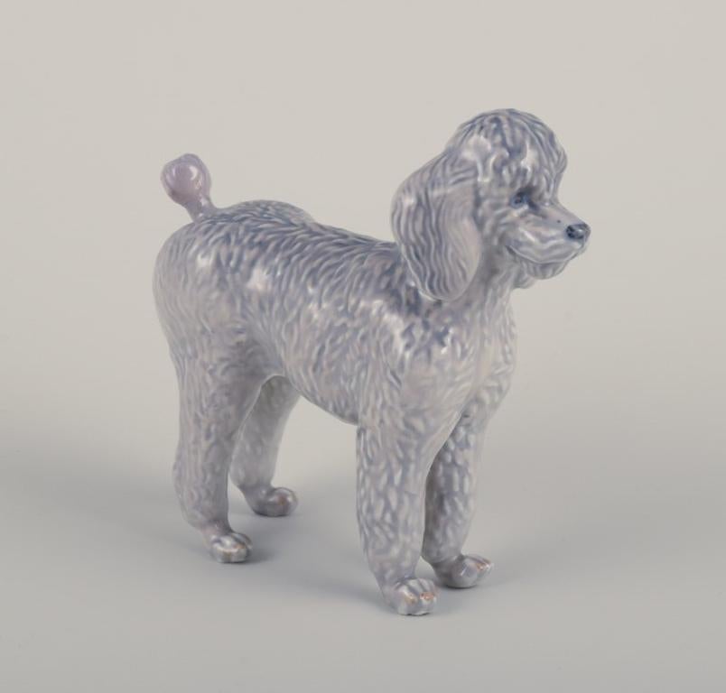 Royal Copenhagen, rare porcelain figurine of a Standard Poodle.
Model number 4757.
Design Jeanne Grut.
Approximately from the 1930s.
In perfect condition.
Marked.
Third factory quality.
Dimensions: L 11.5 cm x H 11.0 cm.