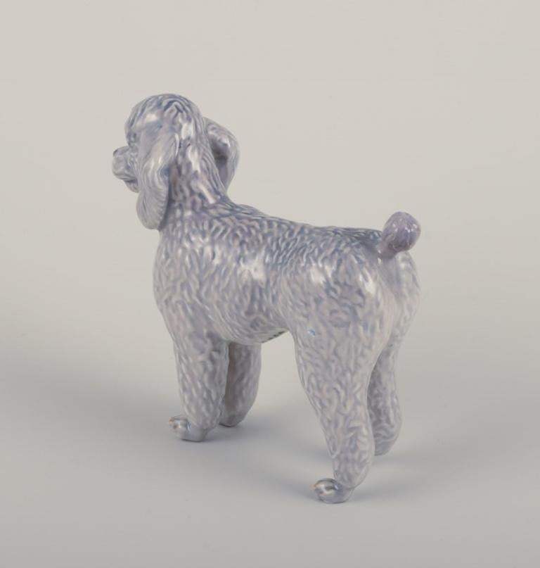 Porcelain Royal Copenhagen, rare porcelain figurine of a Standard Poodle.
