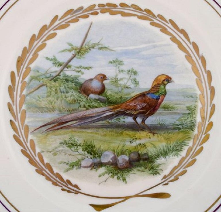 Mid-20th Century Royal Copenhagen, Set of Five Large Dinner / Decoration Plates with Bird Motifs For Sale