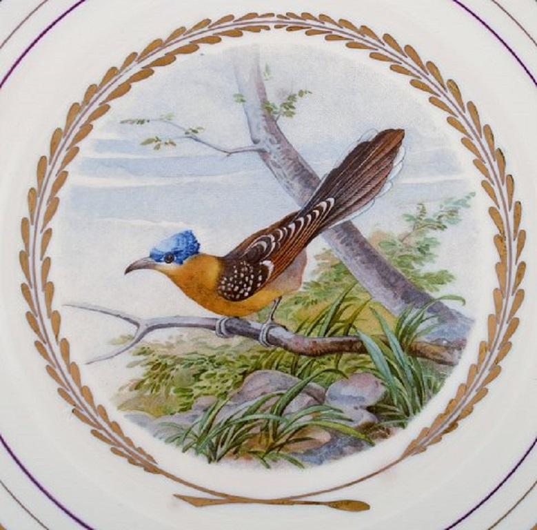 Royal Copenhagen, Set of Five Large Dinner / Decoration Plates with Bird Motifs 2