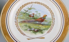 Royal Copenhagen. Set of Five Large Dinner / Decoration Plates with Birds
