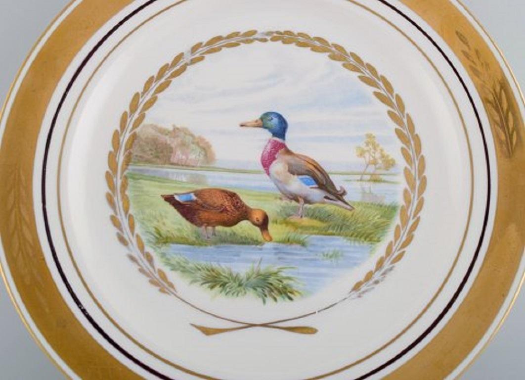 Danish Royal Copenhagen. Set of Five Large Dinner / Decoration Plates with Birds For Sale