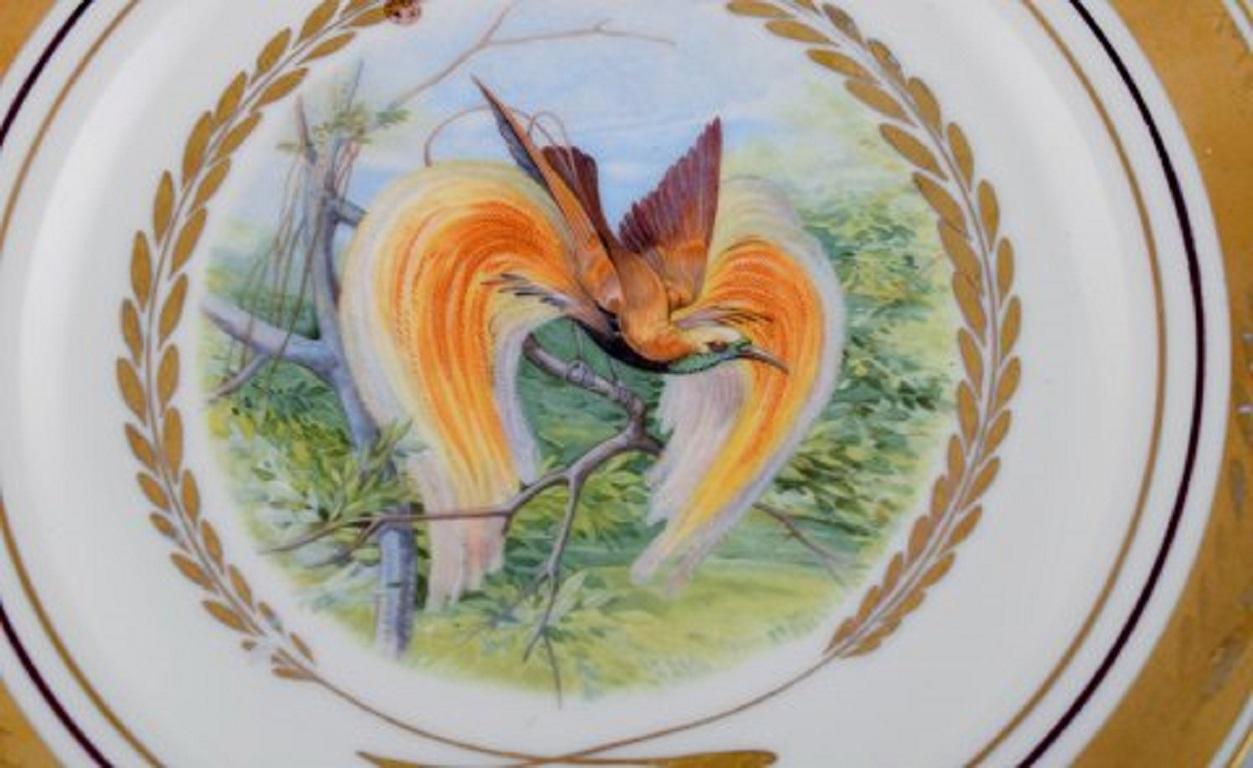 Hand-Painted Royal Copenhagen. Set of Five Large Dinner / Decoration Plates with Birds For Sale