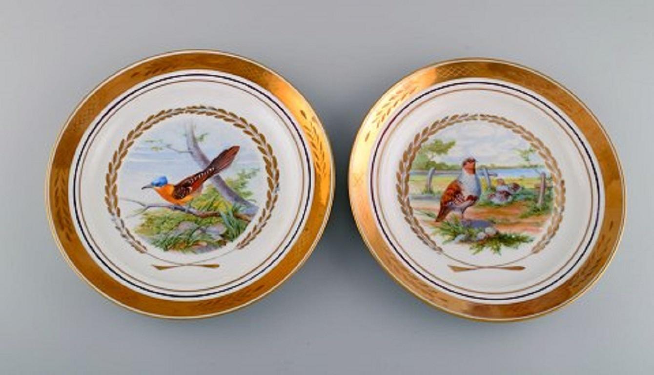 Mid-20th Century Royal Copenhagen. Set of Five Large Dinner / Decoration Plates with Birds For Sale