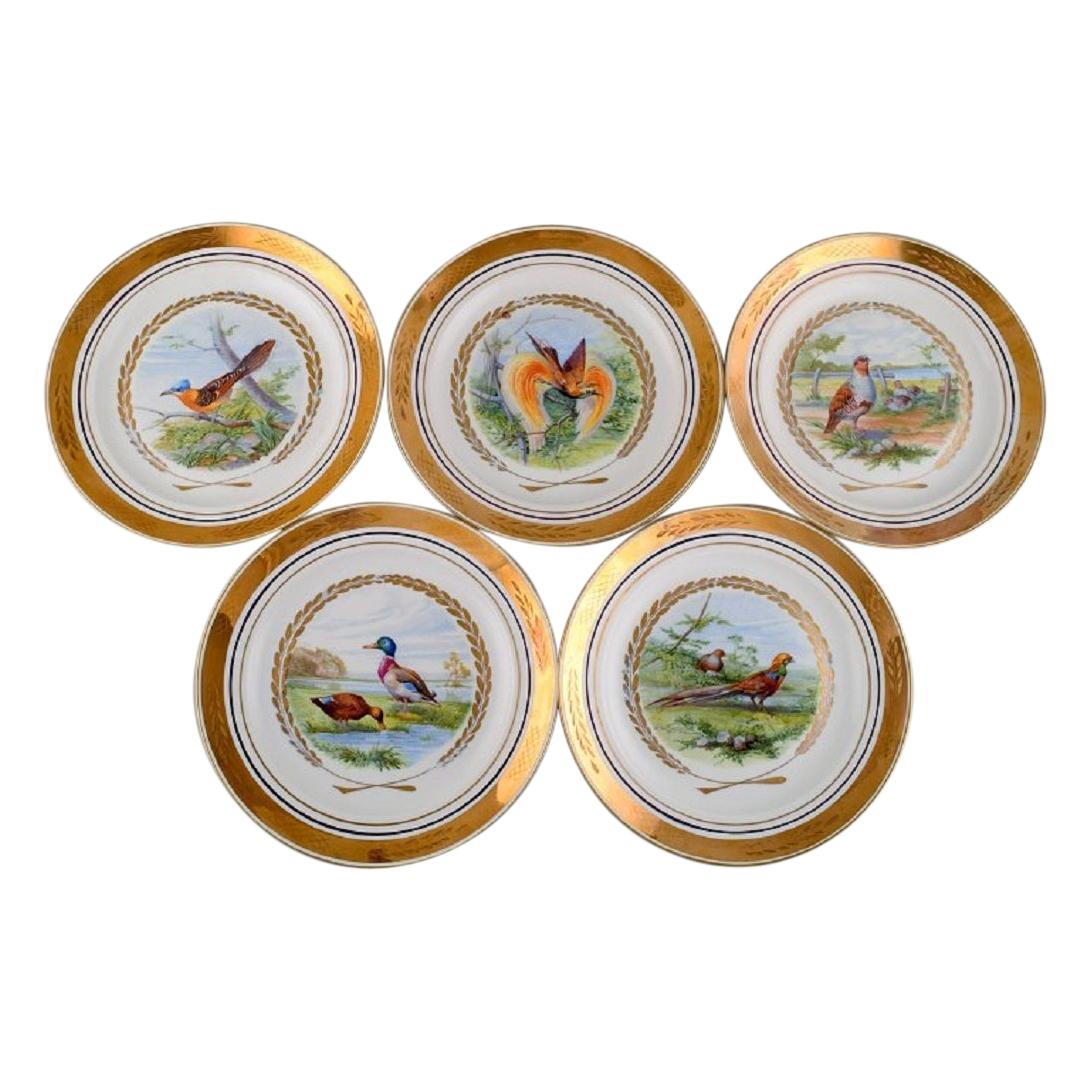 Royal Copenhagen. Set of Five Large Dinner / Decoration Plates with Birds