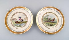 Royal Copenhagen, Set of Six Large Dinner / Decoration Plates with Bird Motifs