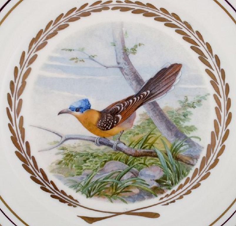 Porcelain Royal Copenhagen, Set of Six Large Dinner / Decoration Plates with Bird Motifs