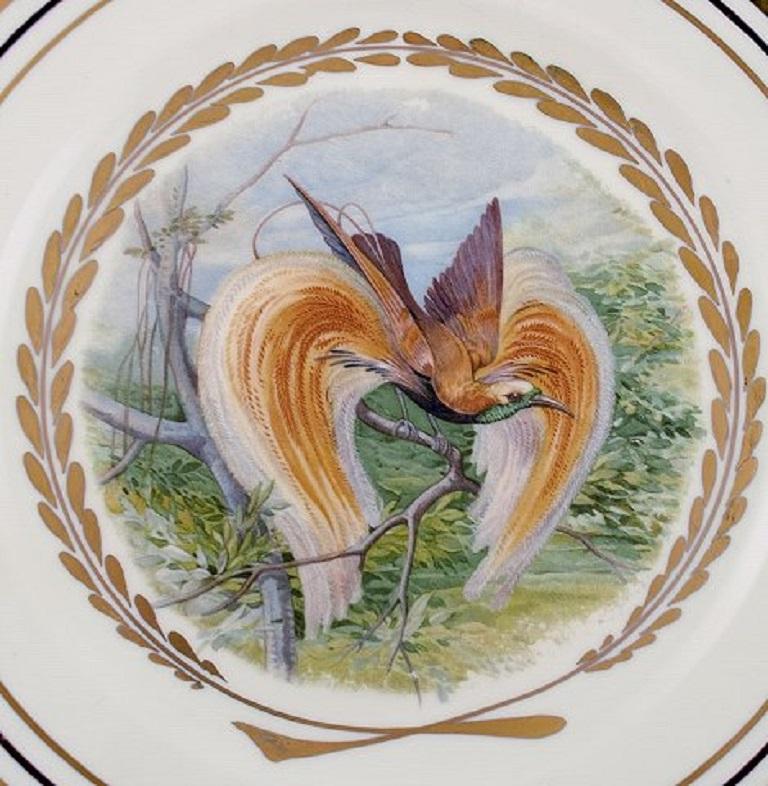 Royal Copenhagen, Set of Six Large Dinner / Decoration Plates with Bird Motifs 3