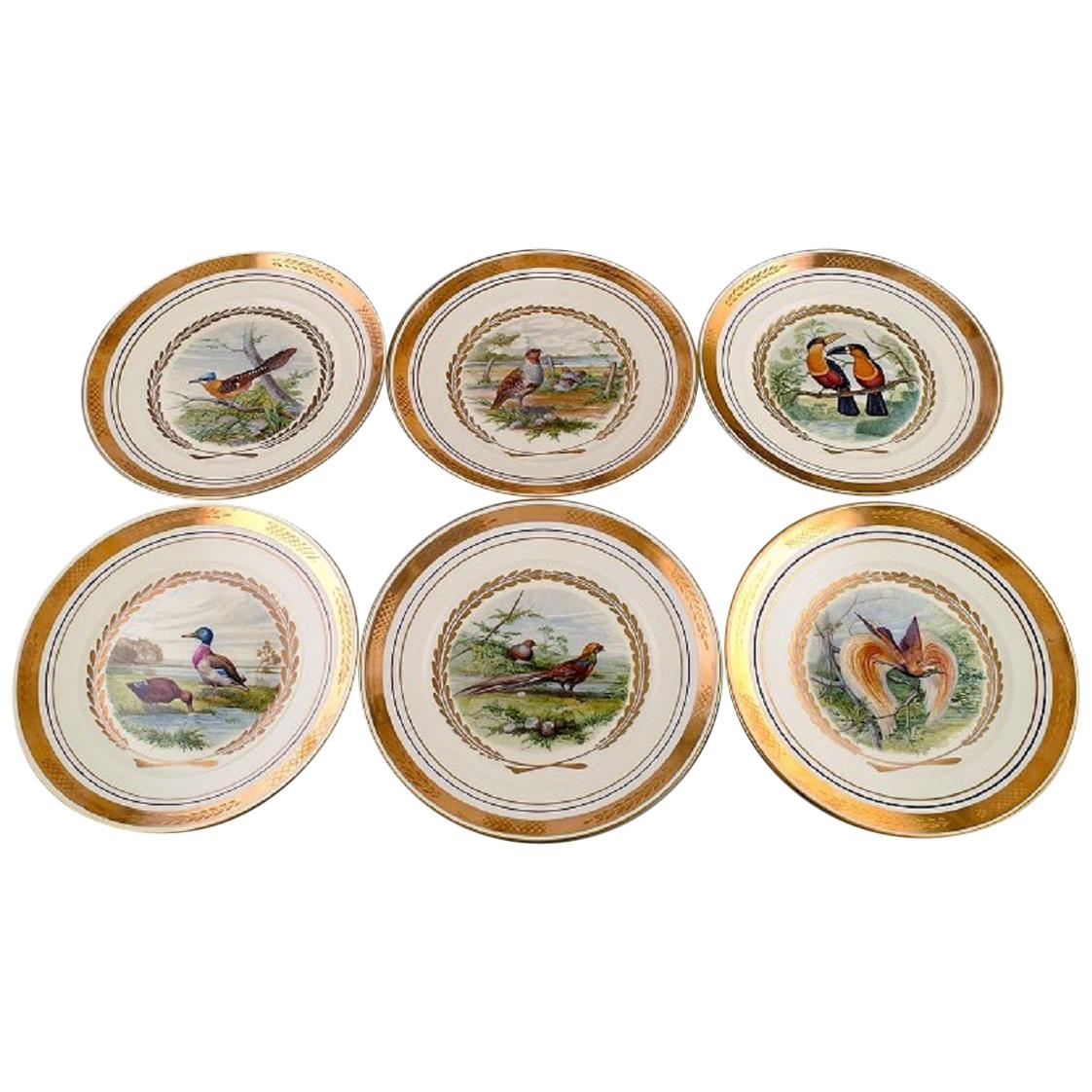 Royal Copenhagen, Set of Six Large Dinner / Decoration Plates with Bird Motifs