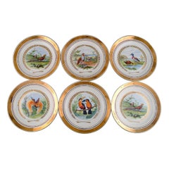 Royal Copenhagen, Set of Six Large Dinner / Decoration Plates with Bird Motifs