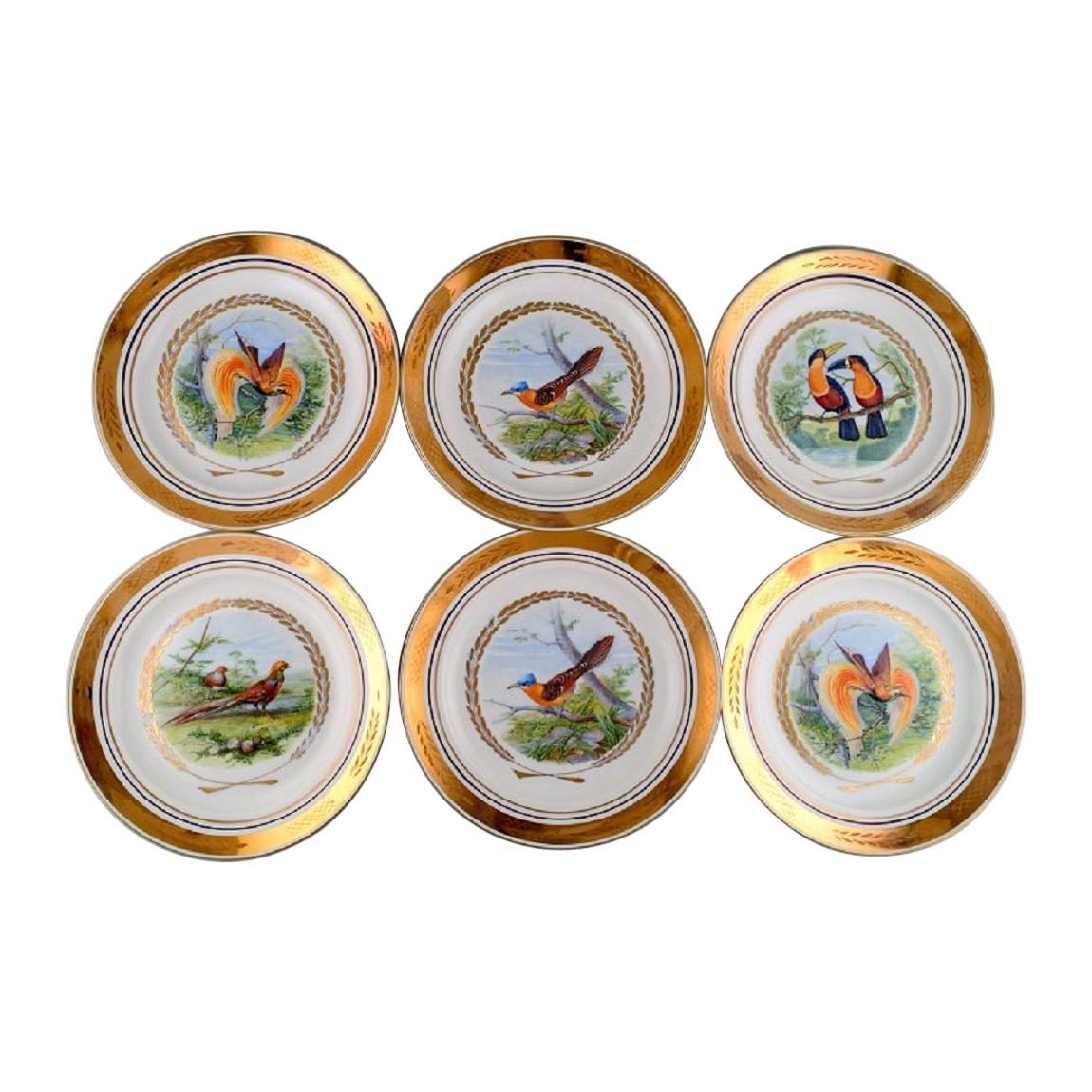 Royal Copenhagen, Set of Six Large Dinner / Decoration Plates with Bird Motifs