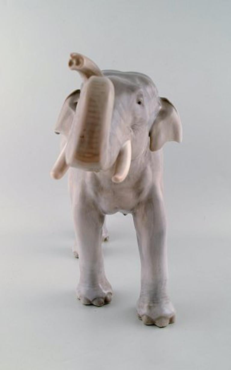 Royal Copenhagen. Very large, rare and impressive elephant with lifted trunk.
Dated 1894-1900.
Model number 2430.
Porcelain figure of very high quality and with many fine details.
1st factory quality.
In very good