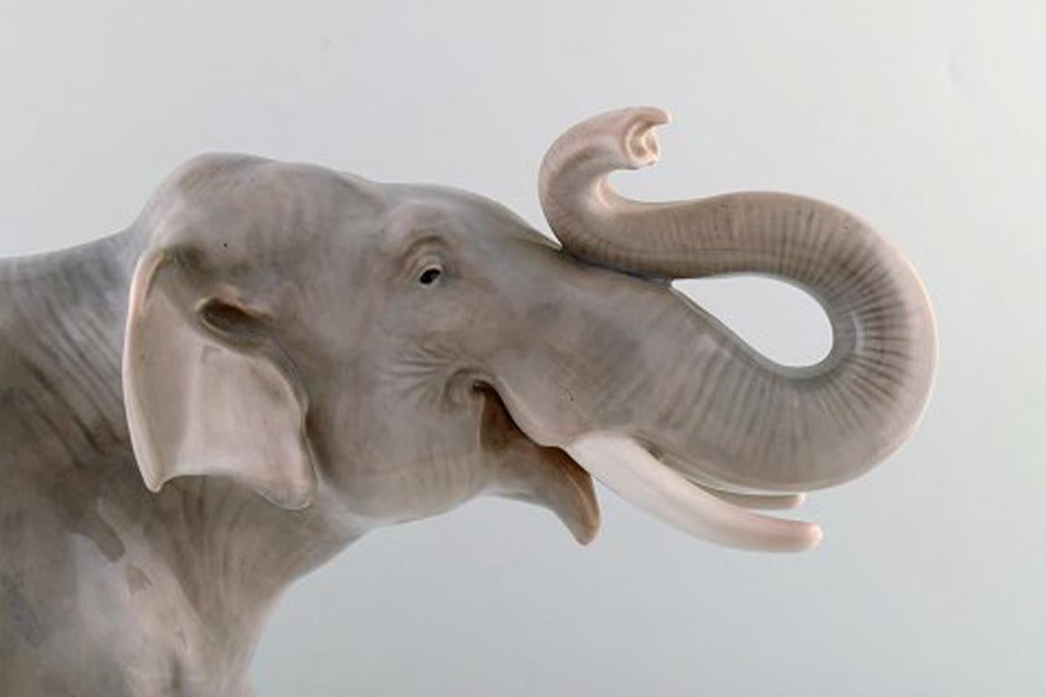 Porcelain Royal Copenhagen, Very Large, Rare and Impressive Elephant with Lifted Trunk