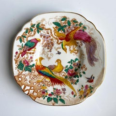 Royal Crown Derby Bird of Paradise Teacup and Saucer in Olde Avesbury Pattern