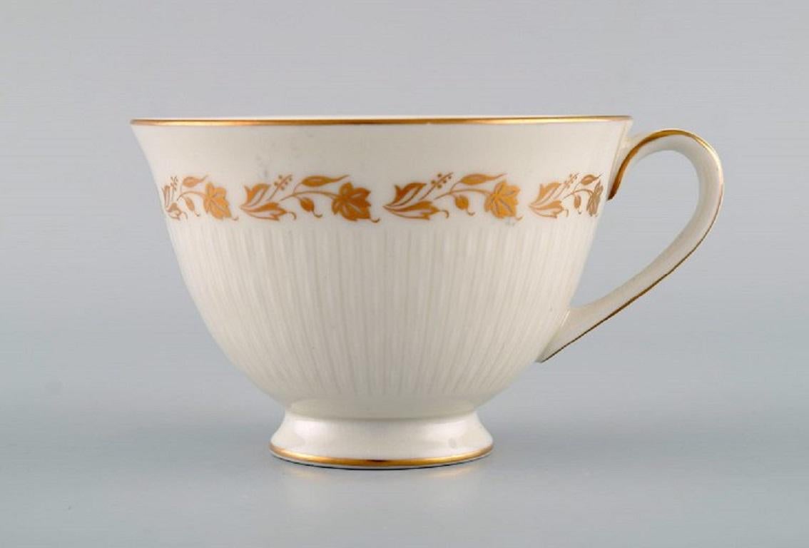 royal doulton tazas