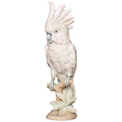 Royal Dux Porcelain Figure of a Cockatoo