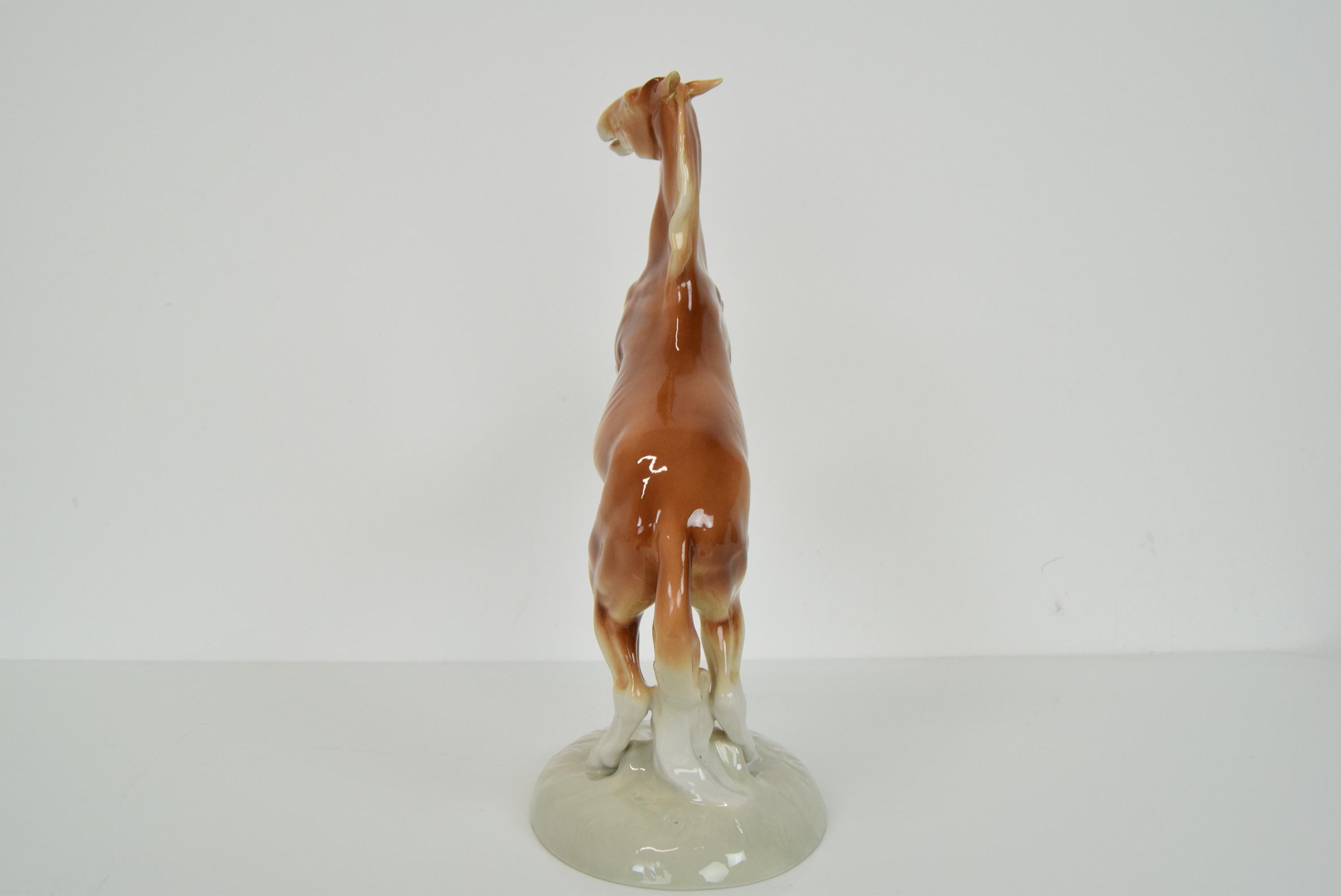 Royal Dux, cheval cabré/porcelaine, années 1940 en vente 1