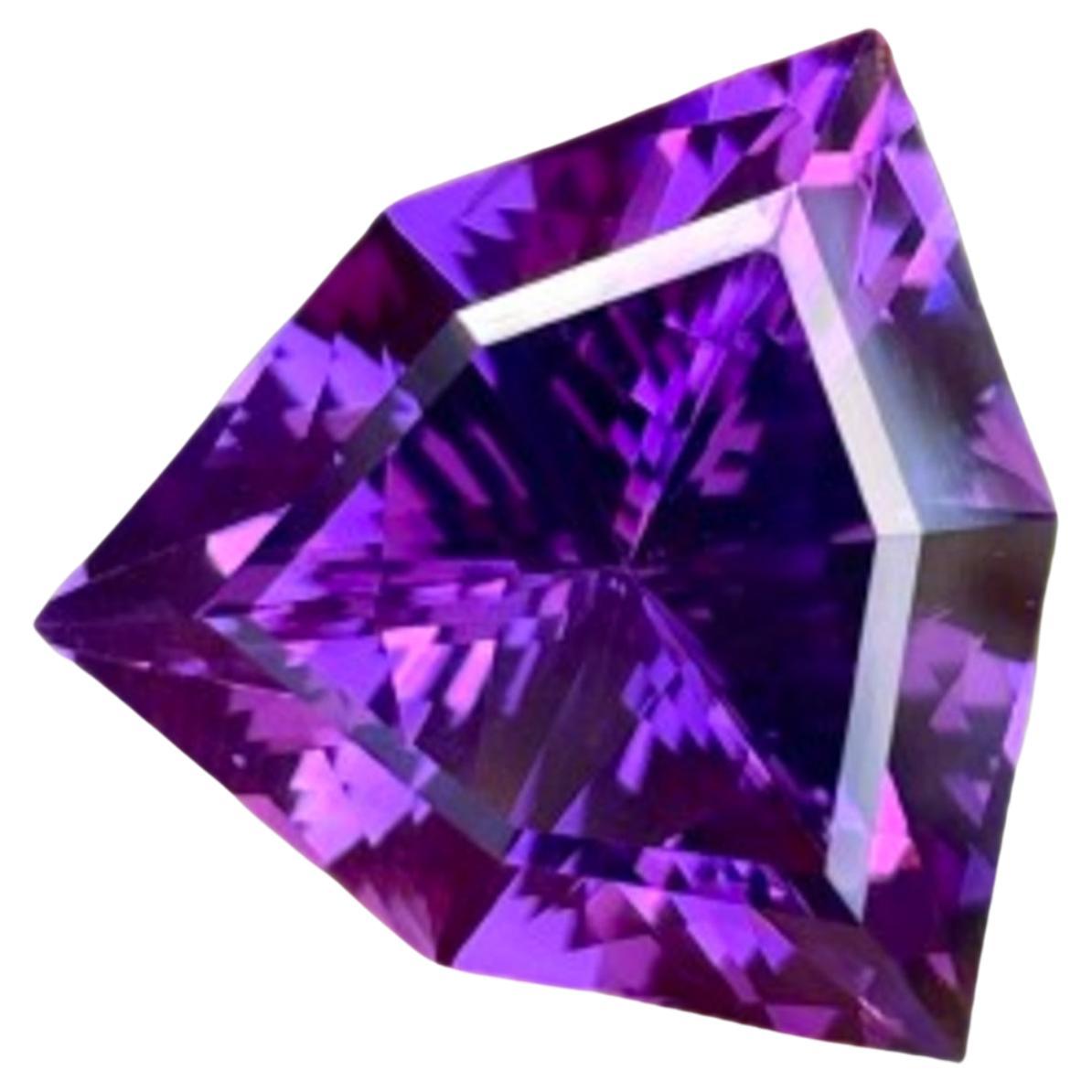 Royal Luxurious Purple Amethyst 15.85 carats Trilliant Cut Natural Brazilian Gem For Sale