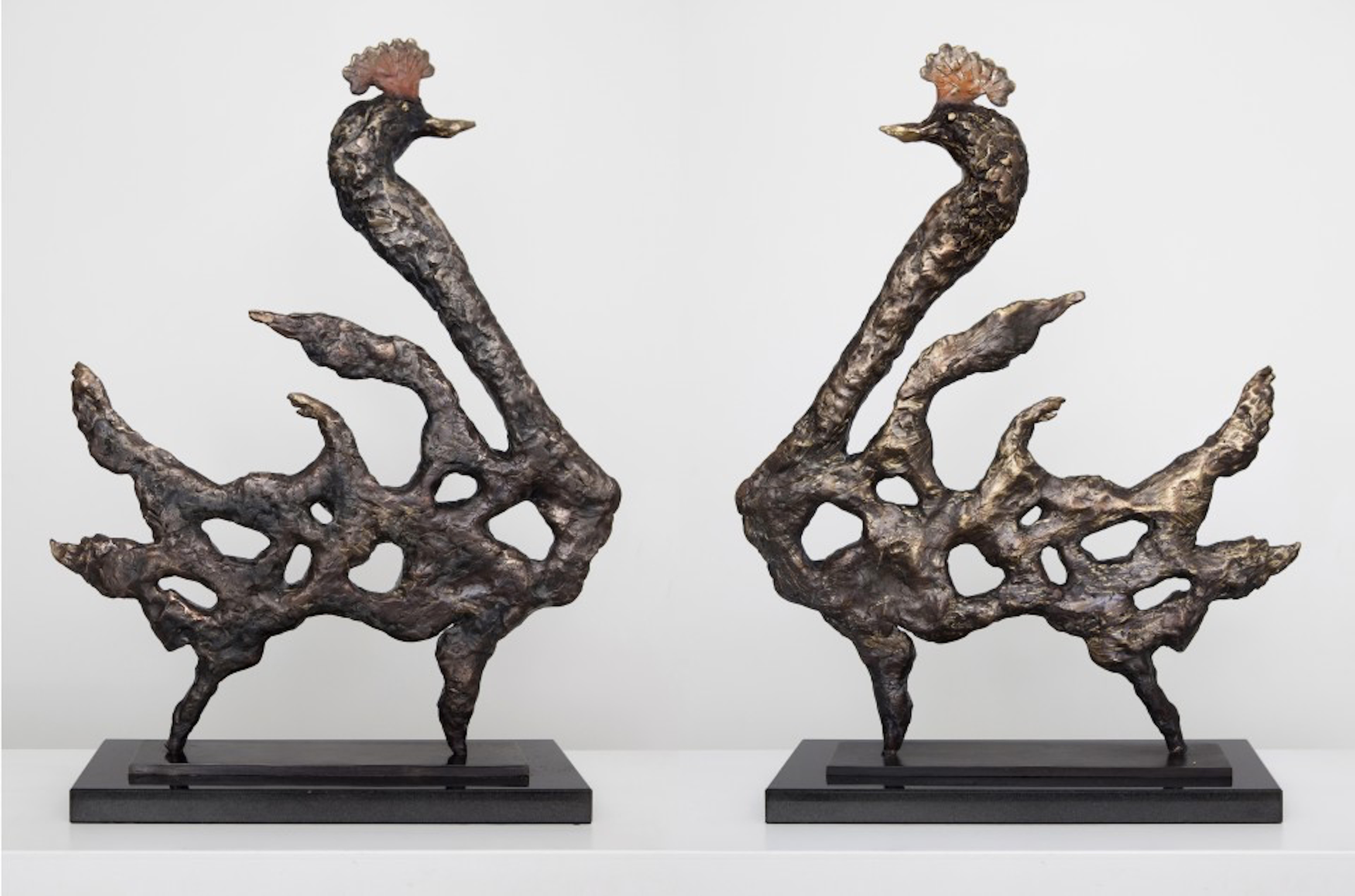 'Royal Birds of India' - One of a kind  pair of  beautiful bronze sculptures, hand crafted moulded and cast in the lost wax process.  Magnificent grand pair of birds  in sculpture form that stand out and create a wow effect . The artwork is loosely