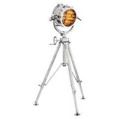 Royal Seal Nickel Floor Lamp